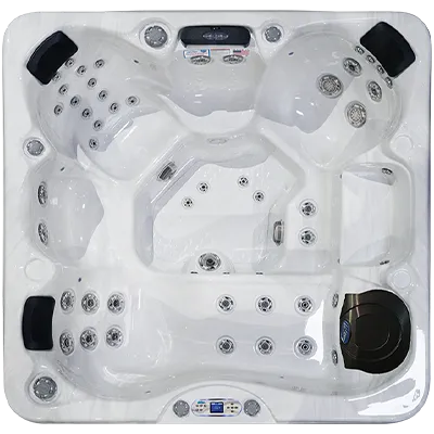 Avalon EC-849L hot tubs for sale in Grand Island