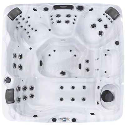 Avalon EC-867L hot tubs for sale in Grand Island