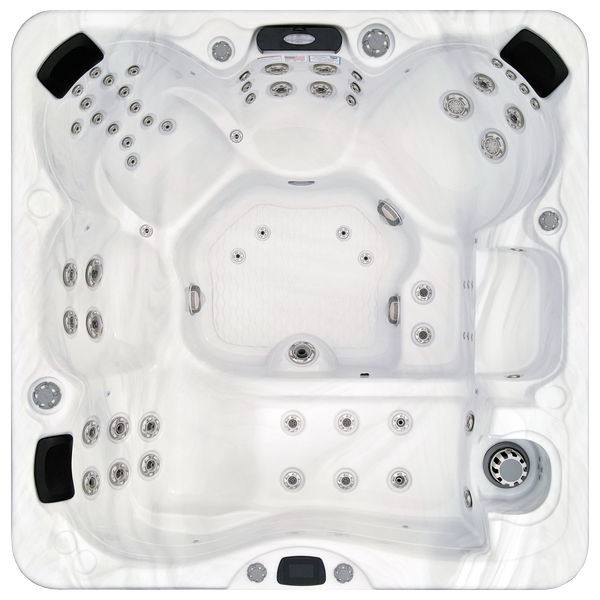 Avalon-X EC-867LX hot tubs for sale in Grand Island